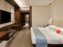 首战公寓A栋  豪华商务房