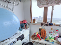 花港幸福城片区（海棠园、玉兰园、芙蓉园、牡丹园、玫瑰园、杜鹃园）