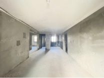 莱茵东郡·财富广场小区