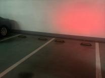 绿洲新岛花园（水木园）