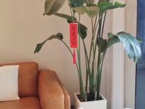 江湾世纪花园澜园