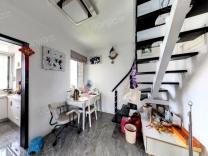 摄山星城闻兰苑